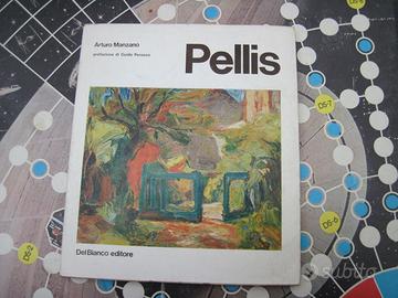 Arturo Manzano GIOVANNI PELLIS pittore senza pace