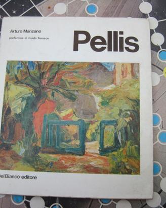 Arturo Manzano GIOVANNI PELLIS pittore senza pace