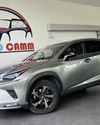 Lexus NX 300h 2.5 Premium cvt 4wd 4x4 awd
