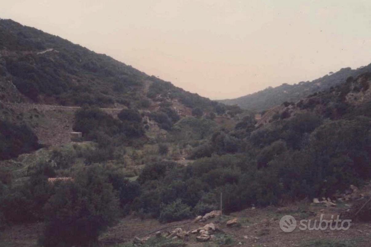 Terreno agricolo San Nicolò - Buggerru - Vista 3