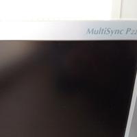 monitor NEC P221W