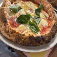 Pizzaiolo esperto