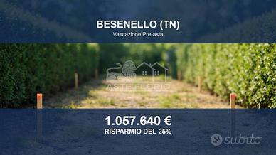 Immobile in asta di 2765 m² a Besenello