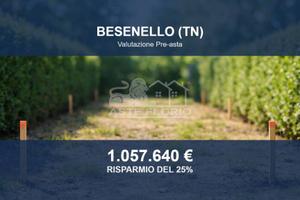 Immobile in asta di 2765 m² a Besenello