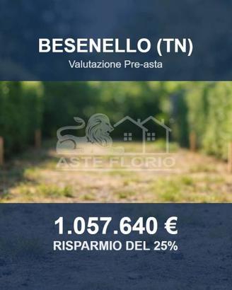 Immobile in asta di 2765 m² a Besenello