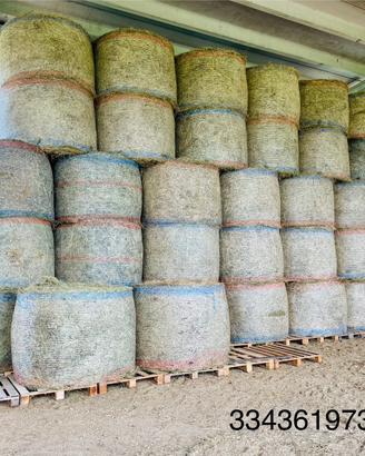 Fieno foraggio maggengo di collina