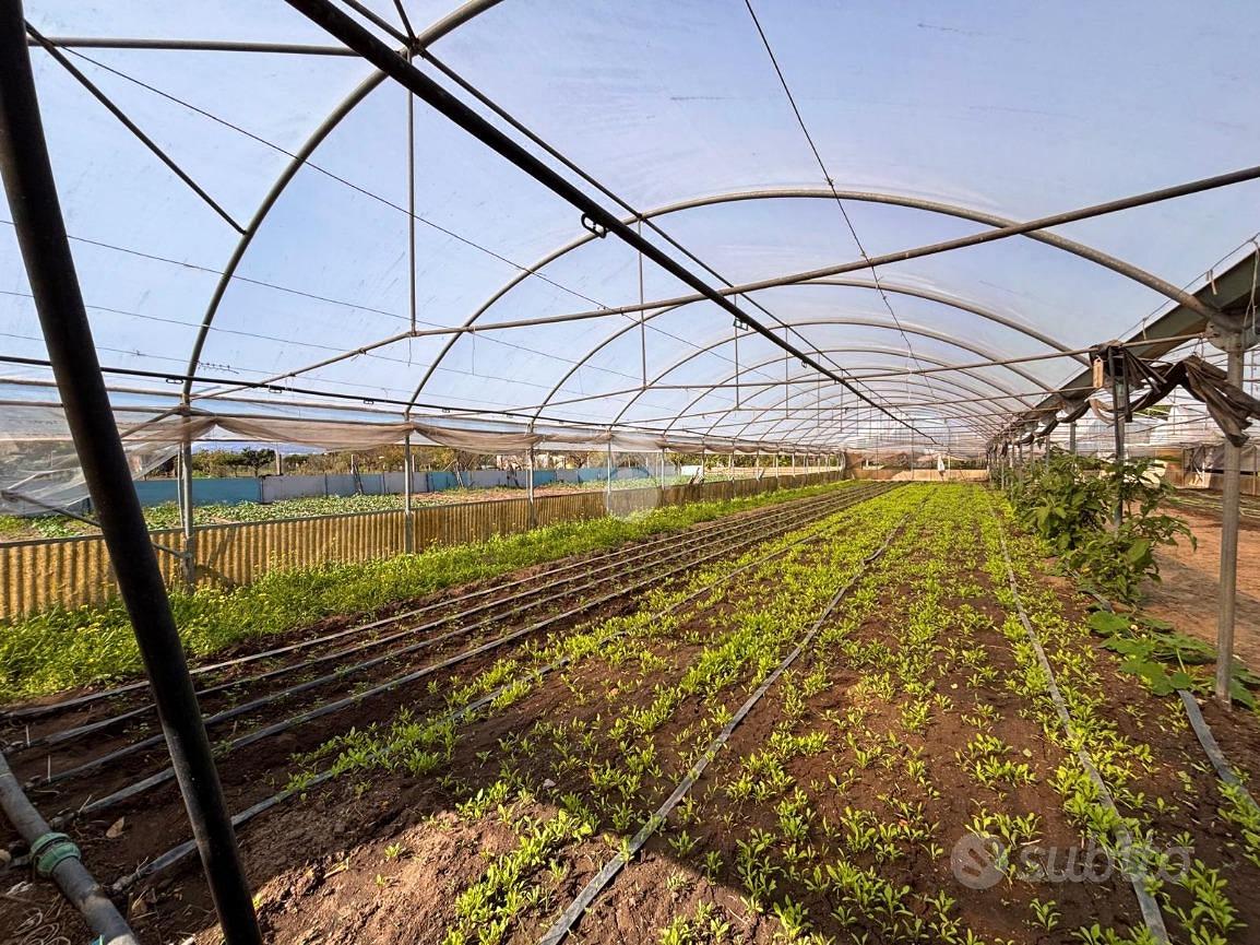 TERRENO A SANT'ANASTASIA - Altro
