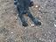 Immagine 3