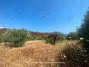 terreno-trabia-