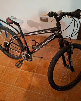 mtb Lombardo da ragazzo ruota da 24