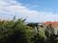 Immagine 10