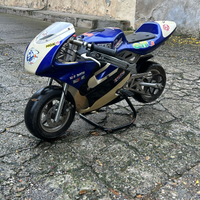 Minimoto 50cc trattabile