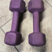 manubri gommati pesi 4 kg