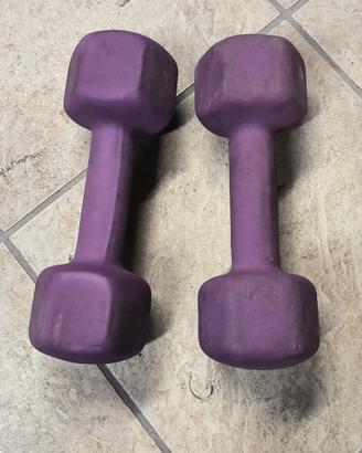 manubri gommati pesi 4 kg