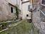 Immagine 7