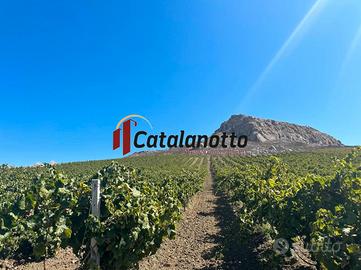 Azienda agricola nella contrada Buturro