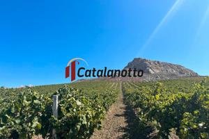 Azienda agricola nella contrada Buturro