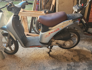 Motorino piaggio free 50