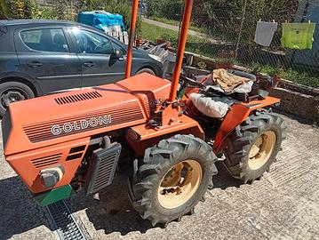 Trattore Goldoni 245 + rimorchio e attrezzi 