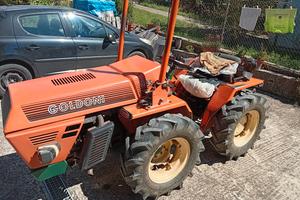 Trattore Goldoni 245 + rimorchio e attrezzi 
