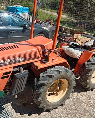 Trattore Goldoni 245 + rimorchio e attrezzi 