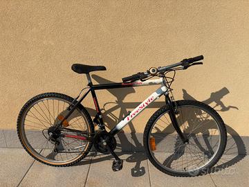 Bicicletta Frejus Freestyle