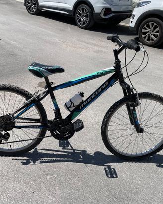 bicicletta