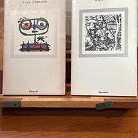 Set di due libri di Raymond Queneau