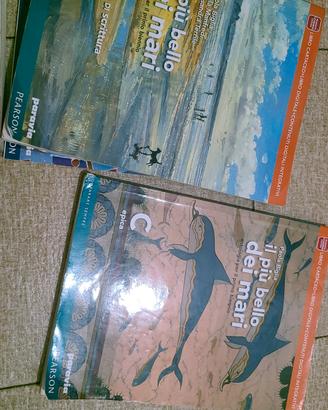libri  liceo classico primo anno