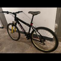 Bici mtb