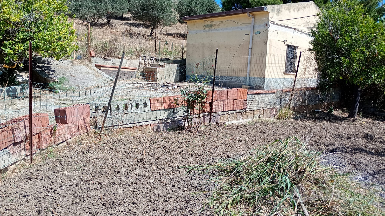Terreno con antico casolare - Vista 2