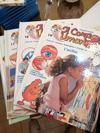 Collezione Il corpo Umano