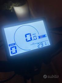 Bici elettrica pedalata assistita
