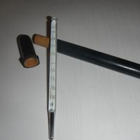 Antico termometro  con custodia da collezione 1813