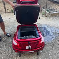 Triciclo elettrico per disabili