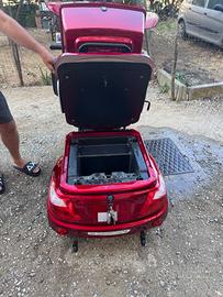 Triciclo elettrico per disabili