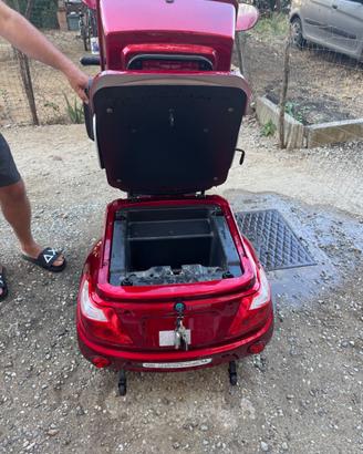 Triciclo elettrico per disabili