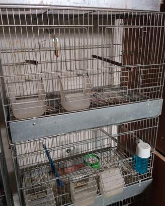 gabbie zincate da cova