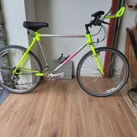 Bicicletta Raleigh