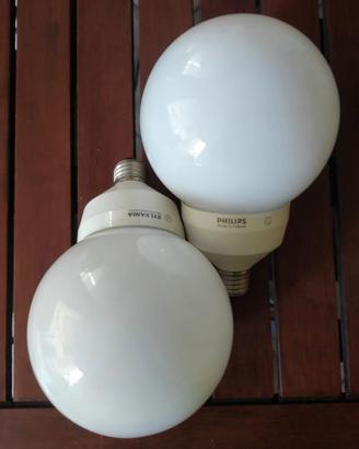 Coppia Lampadine Globo Vintage 20W E27