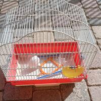 gabbia per pappagalli o canarini 