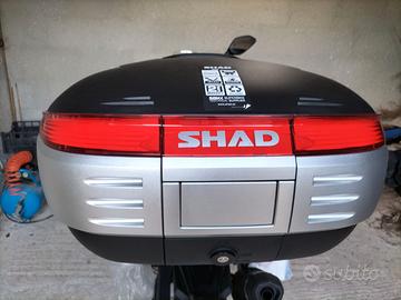 Bauletto Shad 50 litri con piastra