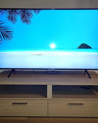 Mobile TV
