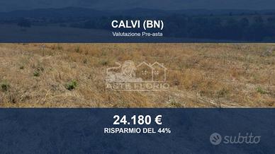 Immobile in asta di 24866 m² a Calvi
