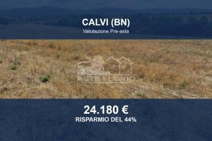 Immobile in asta di 24866 m² a Calvi