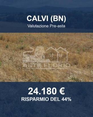 Immobile in asta di 24866 m² a Calvi