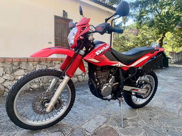 Beta Alp 4.0