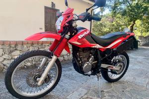 Beta Alp 4.0