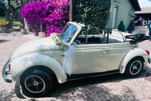 Maggiolino Cabrio Storico Eventi