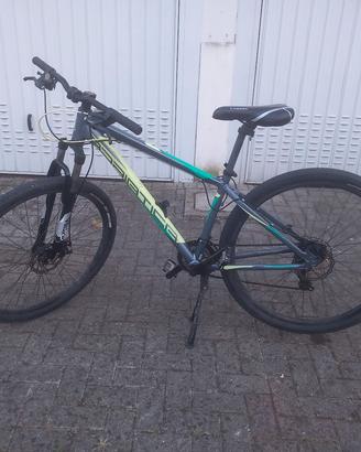 Bici da uomo